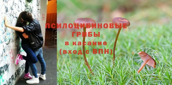 экстази Алексин