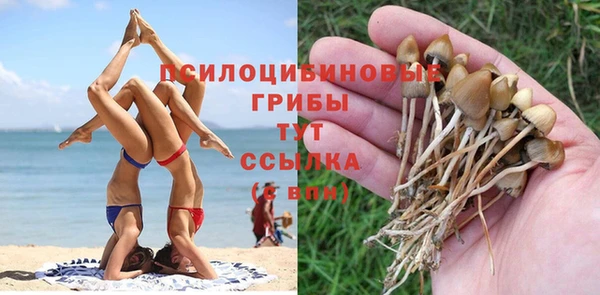 jwh Алзамай